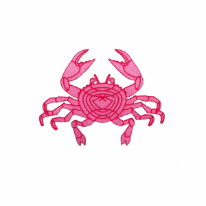 Patch thermocollant "Marée haute"