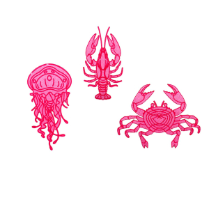 Patch thermocollant "Marée haute"