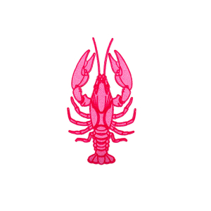 Patch thermocollant "Marée haute"